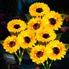 Liuyife 3 Pezzi Luci Solari Girasole, Impermeabile Fiori Solari per la Decorazione di Esterni, Luci Solari per Aiuole del Patio, Prati, Sentieri e Giardini, Decorazioni per il Giardino
