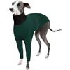 PUMYPOREITY Cappottino Piccolo Levriero Italiano, Felpa Levriero Cappottino Whippet Cappotto Levriero Abbigliamento Piccoli Levrieri Italiano con Collo Alto(Verde militare, S)