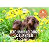 Ruby Ashley Calendario 2025 con bassotto, spazio per appunti in 13 mesi, bellissime immagini di cani bassotti e cuccioli. Calendario 2025 riciclabile stampato nel Regno Unito da Ruby Ashley®