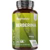 WeightWorld Berberina Vegana, 4 Mesi di Scorta, 1 Capsula al Giorno, Integratore Berberina 500 mg Pura 85%, 120 Capsule, Berberine Proveniente dalla Berberis Aristata, Senza Magnesio Stearato, Prodotto in Europa