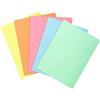 Exacompta Cod 850300E, Confezione da 30 Sottocartelline SUPER 60 g/m2 Color Pastello, Cartelline Certificate PEFC Dimensioni 22 x 3 cm per Formato A4, 5 Colori Assortiti