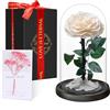 Touloube Festa della Mamma Rosa Stabilizzata Vera Regalo Donna in Cupola Vetro - Regalo di San Valentino, Donna Regalo Compleanno, Rosa Eterna Idee Regalo Mamma Moglie Fidanzata Nonna, per Anniversario
