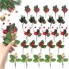 KUIRUNRX Rami Decorativi con Coni di Larice, Bacche di Agrifoglio di Natale, Set di Rami di Pino Artificiale e Bacche Rosse Artificiali, Rami Decorativi per Ghirlande e Composizioni (20 Pezzi)