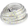 V-TAC VT-5050 Striscia led 24V SMD5050 strip 9W/mt 5M 60led/mt Bianco freddo 6400K waterproof IP65 10mm - SKU 212564