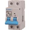 ETTROIT Interruttore Automatico 2P C63 63 A 6 kA IEC60898-1 JX126360