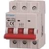 ETTROIT Interruttore Sezionatore DIN 3P 80A 415V - JX438000