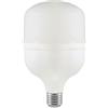 V-TAC VT-21031 Lampadina LED E27 30W forma T100 luce bianco freddo 6500K - 23571
