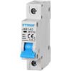 ETTROIT Interruttore magnetotermico automatico 1P 10A 220V 1 Moduli DIN Ettroit JXB1-63-1P-10A