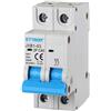 ETTROIT Interruttore magnetotermico automatico 2P 40A 220V 2 Moduli DIN JX124060