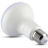 V-TAC PRO VT-280 Lampadina led chip Samsung SMD 11W E27 R80 bianco caldo 3000K - SKU 21135