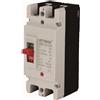 ETTROIT JX15299 MCCB Interruttore Scatolato Magnetotermico 2P 100A DC 500V-10KA