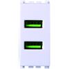 ETTROIT Presa USB Caricatore USB 5V 2,1A 2 Porte USB-A Colore Bianco Compatibile Con Vimar Arke VA2402B