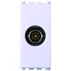 ETTROIT Connettore TV maschio passante, colore bianco , compatibile Vimar Arke VA2253B