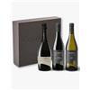 Colderove Confezione 3 bottiglie 1 Prosecco Valdobbiadene Superiore DOCG - 1 Amarone della Valpolicella DOCG - 1 Lugana DOC