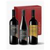 Colderove Confezione 3 bottiglie 1 Refosco IGT - Amarone della Valpolicella DOCG - 1 Rosso 917 Foglia Oro