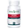 ERBA VITA GROUP SpA epilobio 60 capsule