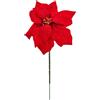 ARPIMEX Pick Poinsettia di Natale D 10 Cm Rosso
