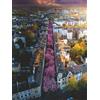 Ravensburger Puzzle da 1500 Pezzi - Bonn in Fiore