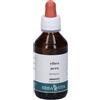Erba Vita Ribes Nero Gemmoderivato 100 ml Soluzione orale