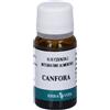 Erba Vita Erva Vita Canfora Olio Essenziale 10 ml essenziale