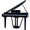 Echord GP-10B Nero Lucido