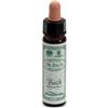 SANTIVERI Sa AINSWORTHS BEECH 10ML