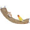 XiyaxiVici Tappetino alghe per uccelli Bird Seagrass Mat Amaca in Erba Marina Rete Tessuta in Erba Naturale Arrampicata Pratica Amaca Accessori per gabbie Giocattoli per pappagalli 20x52 cm