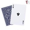 Pantheon Playing Cards Mazzo di Carte Peso ideale per Giocare all'aperto | Carte da gioco Impermeabili e Resistenti al vento | Carte da Poker Protette in Plastica Spessa (blu)