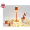 Zafferano Lampada Ricaricabile da Tavolo POLDINA PRO MICRO Colore Arancione di Zafferano in Pronta Consegna - Offerta di Mondo Luce 24