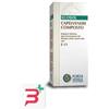 FORZA VITALE ITALIA Srl ECOSOL CAPELVENERE COMPOSTO GOCCE 50 ML