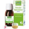 BOIRON SRL AESCULUS HIPP BOIRON MACERATO GLICERICO 60 ML