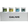 Galius - Confezione da 4 Oli Corpo Solidi per Massaggio da 100ml - Olio Massaggio Effetto Freddo, Neutro, Rilassante, al Rosmarino - Oli Essenziali - Ideale per Professionisti e Atleti - Non Macchia