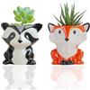 Half Forest Vasi Piante Grasse Ceramica Mini Vasi Fiori Ceramica Vaso Di Ceramica Per Piante Per Piante Grasse Home Office Scrivania Scaffale Decorazioni Per Finestre (A Forma Di Zibetto, A Forma Di Volpe)