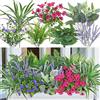 UXORSN Piante Finte da Esterno 20 Fasci Fiori e Pianta Artificiale Cespuglio Finto da Esterno Arbusti Verdi Resistenti Ai Raggi UV Lavanda Finta Per Decorazioni Casa Soggiorno Balcone Vaso Giardino