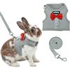 Aiitle - Set con pettorina e guinzaglio per conigli con grazioso fiocco, pettorina in rete morbida e traspirante per conigli, gattini, furetti, maialini, cuccioli, accessori per passeggiate, grigio, M