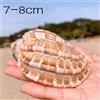Maggiore Arpa Naturale Mare Conchiglia Acquario Pesce Tender Soprammobile Casa