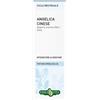 ANGELICA CINESE TINTURA IDROALCOLICA 50ML - INTEGRATORE ALIMENTARE