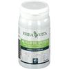 Erba Vita ARTIGLIO DIAVOLO 125 TAVOLETTE 400 MG
