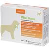 Dynamopet VITA 20 BUSTINE DA 4 G