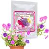 Magic of Nature Semi di Petunia ca. 250 Pz - Miscela Multiflora - Petunie Colorate - Seme Fiore per Balcone & Giardino