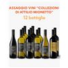 Colderove Offerta Collezioni di Attilio Mionetto