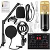 Kit Microfono A Condensatore Professionale Studio Registrazione Con Mixer cir