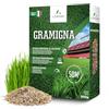LERAVA Semi Gramigna per Prato (500 g) - Copertura 50 m² - Semi gramignone resistenti alla siccità - Ideali per prati mediterranei e costieri - Consumo d'acqua 20% ridotto
