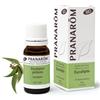 Pranarom Olio Essenziale Bio Eucalipto 10ml