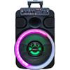 Impianto Audio Portatile Cassa Altoparlante 40W Trolley Multimedia Linq Tx-8212