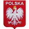 877 WW2 ESERCITO POLACCO AQUILA BIANCA 2,8 POLLICI TOPPA POLSKA RICAMO
