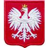 888 WW2 ESERCITO POLACCO AQUILA BIANCA 2,5 POLLICI TOPPA POLONIA