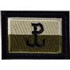 492 ESERCITO POLACCO MIMETICO PATCH GROM FLAG 2,2 POLLICI POLONIA QUALITÀ NATO
