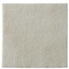 COLOPLAST SpA MEDICAZIONE BIATAIN ALGINATE AG IN ALGINATO E CARBOSSIMETILCELLULOSA A RILASCIO DI ARGENTO 10X10 CM 10 PEZZI