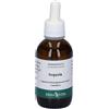 Erba Vita Sequoia Gemmoderivato 50 ml Soluzione orale